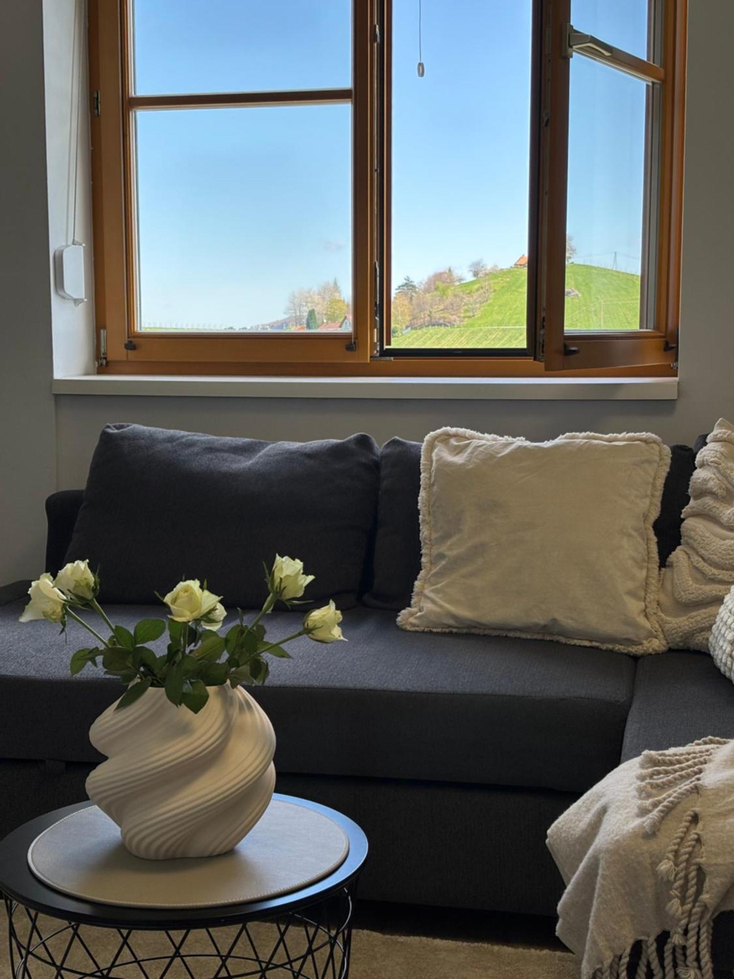 Glanz Und Gloria Weingartenapartment An Der Kellerstrasse, Viele Buschenschaenke, Sehr Ruhige Lage, Herrliche Aussicht! 里欧查赫 外观 照片